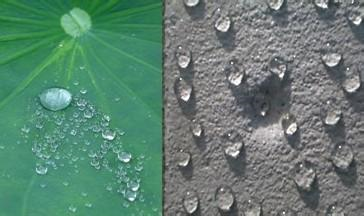 非固化防水涂料的特點有哪些